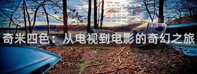 浮力影院a：奇米四色：从电视到电影的奇幻之旅