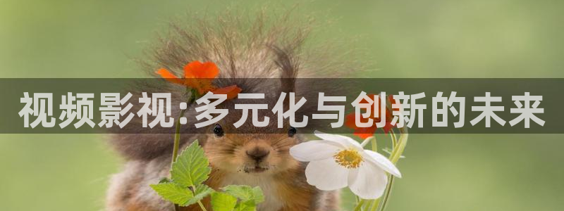 浮力影院屁屁影院：视频影视:多元化与创新的未来