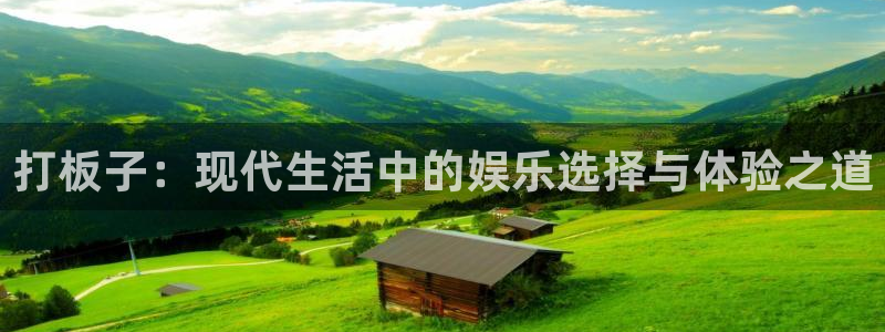 浮力影院屁屁：打板子：现代生活中的娱乐选择与体验之道