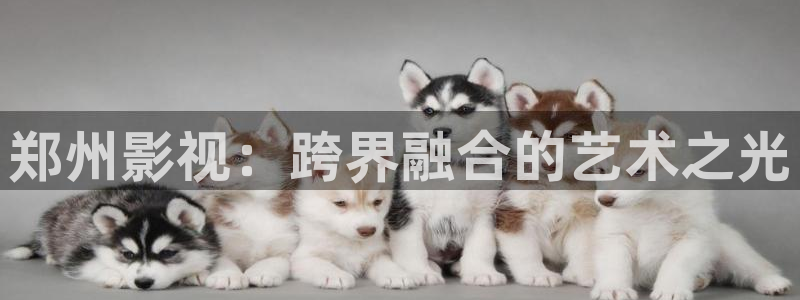 浮力影院新网址：郑州影视：跨界融合的艺术之光