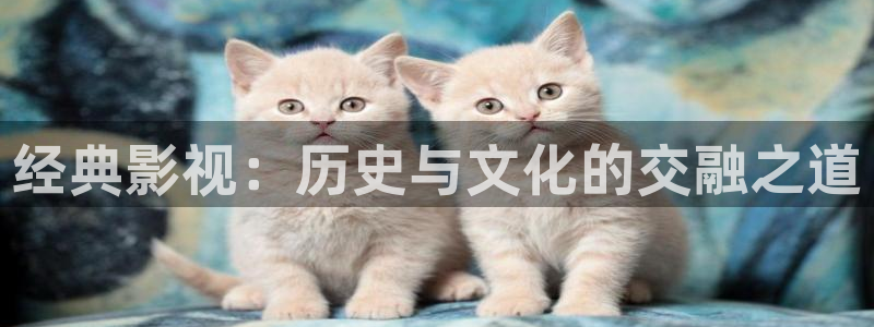 草草浮力影院①线wy55www：经典影视：历史与文化的交融之道